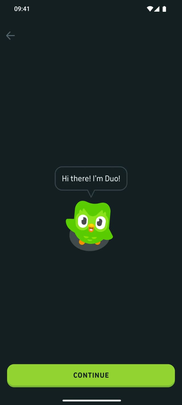 Duolingo: Learn Languages, Intro